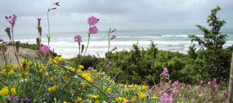 Parco nazionale del Circeo